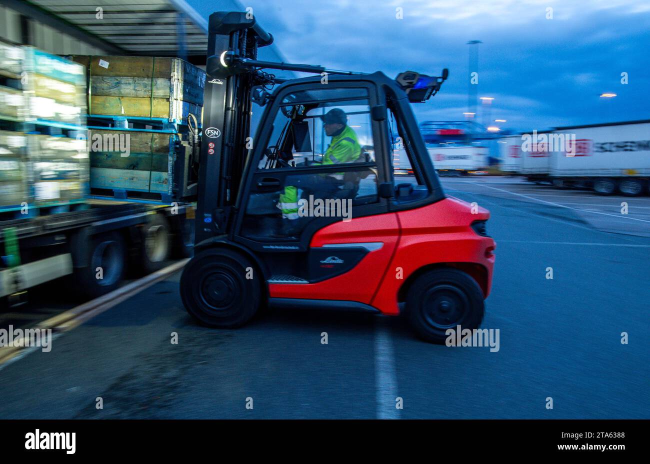 Rostock, Germania. 21 novembre 2023. I pallet e le merci trasportate vengono scaricati da rimorchi appartenenti alla società di logistica DB Schenker sul sito del centro logistico nel porto marittimo. La filiale logistica di Deutsche Bahn gestisce diversi centri logistici nel Meclemburgo-Pomerania. Credito: Jens Büttner/dpa/Alamy Live News Foto Stock