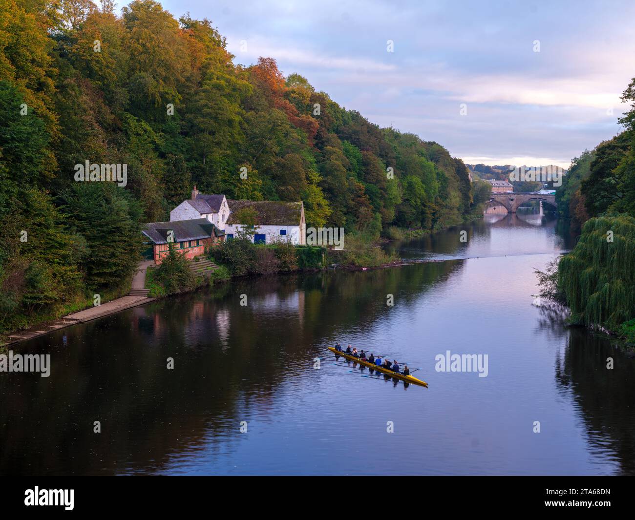 Una femmina coxata otto sul River Wear a Durham durante una splendida mattinata autunnale. Il ponte Framwellgate può essere visto dietro Foto Stock