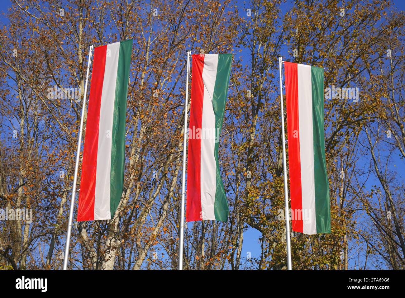 Bandiere ungheresi, Varosliget, Parco cittadino, Budapest, Ungheria Foto Stock