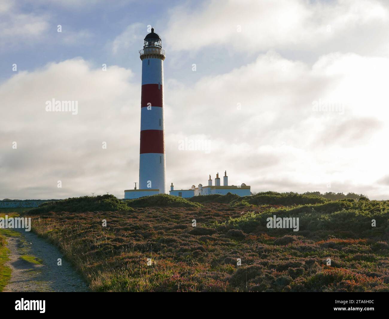 Il faro di Tarbat Ness è la lampada di navigazione più alta della Scozia e la terza più alta della Gran Bretagna, si trova vicino a Portmahomock. Foto Stock