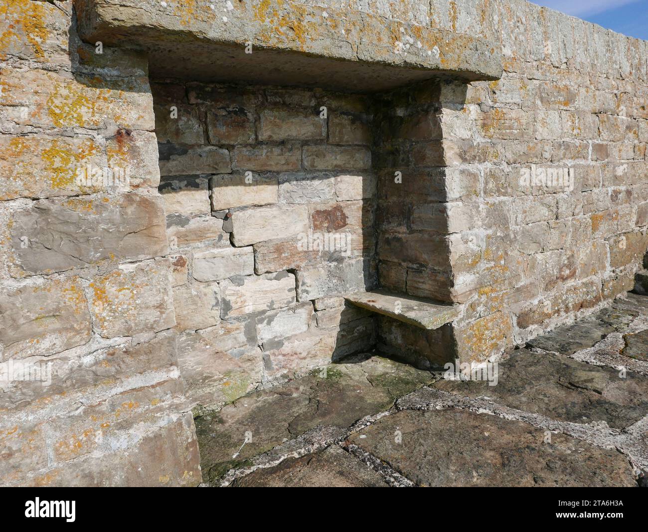 Fresgoe Harbour by Sandside Bay vicino al villaggio di Reay a Caithness, Scozia settentrionale Foto Stock