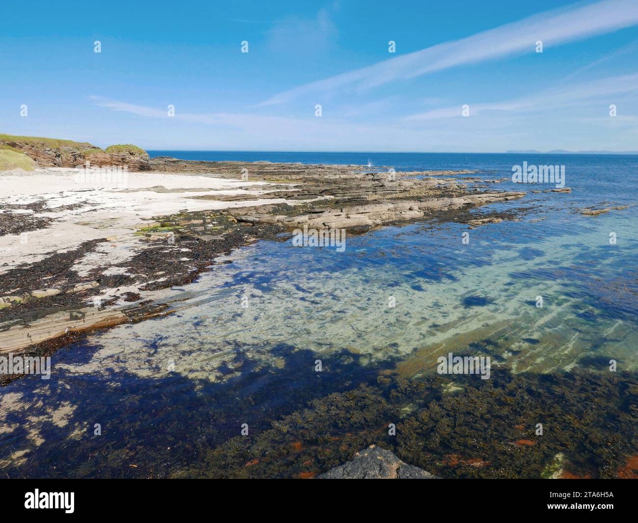 L'area della spiaggia accanto al Porto di Fresgoe, con sabbia bianca e acqua cristallina, vicino alla Baia di Sandside e al villaggio di Reay a Caithness Foto Stock