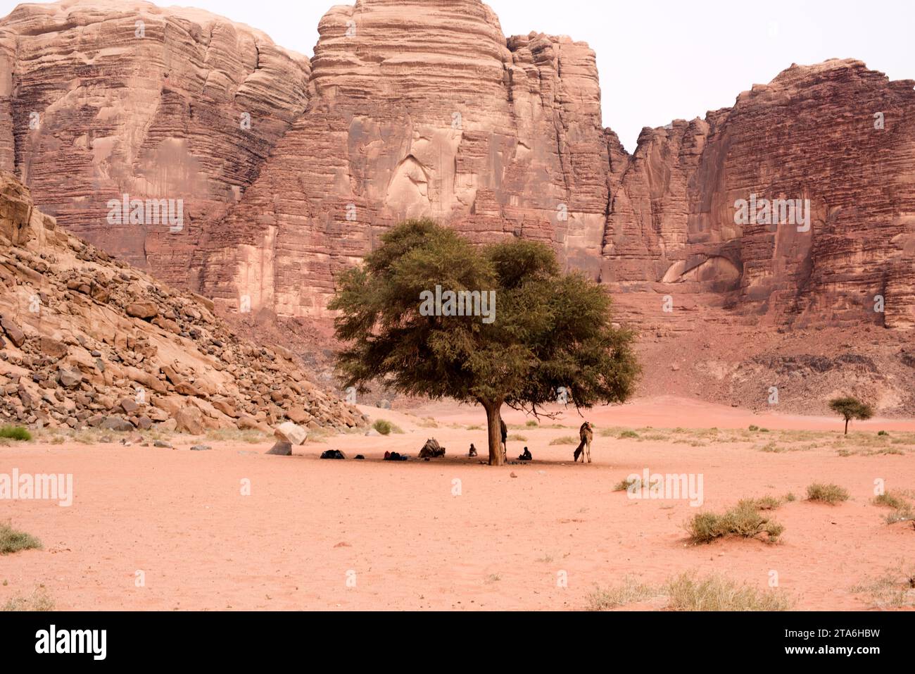 Wadi Rum o Valle della Luna (Patrimonio Mondiale dell'UNESCO). Montagna di arenaria su roccia magmatica (nera). Non conformità geologica (non conformità). Giordania. Foto Stock