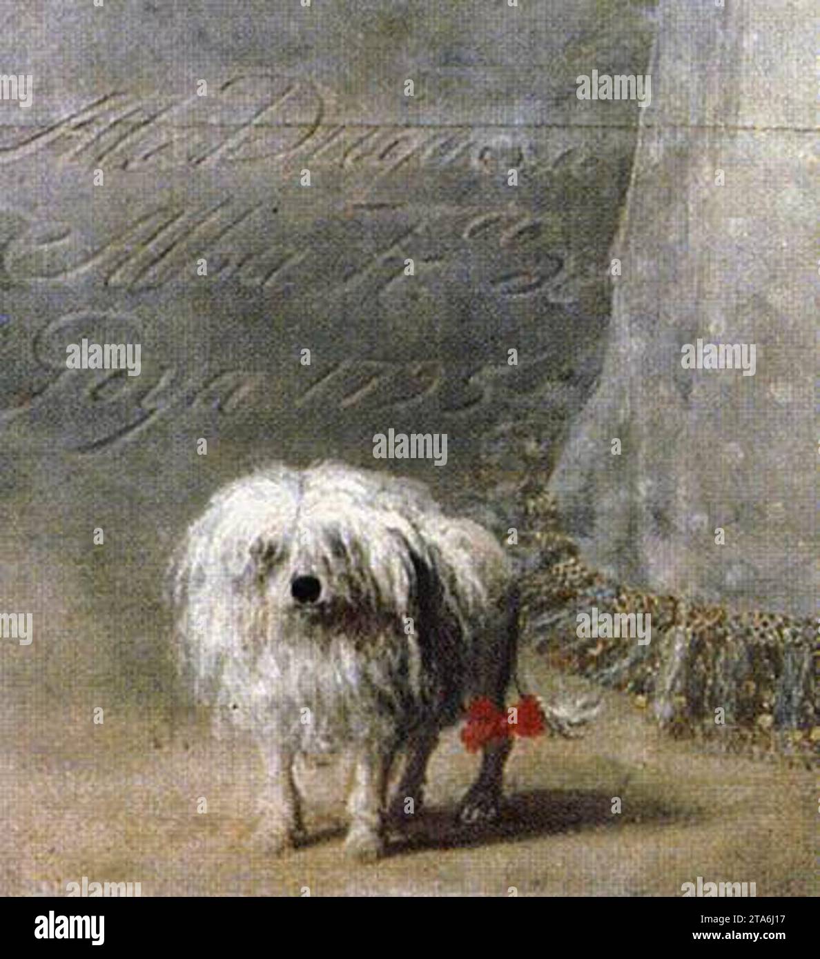 La Duchessa d'Alba 1795 di Francisco De Goya Y Lucientes Foto Stock