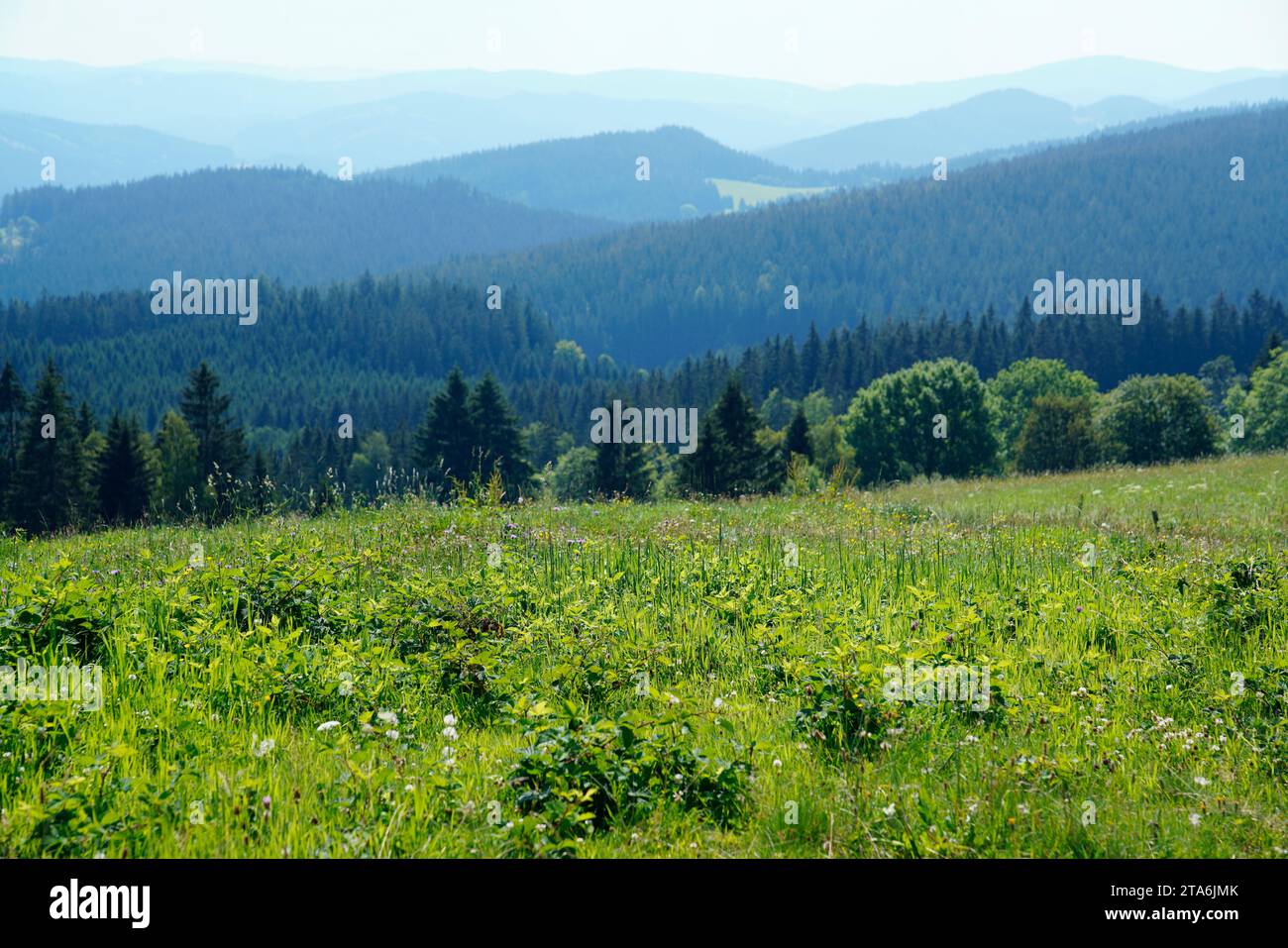 Moravian-Slesian Beskydy,Moravskoslezsky kraj,Repubblica Ceca Foto Stock
