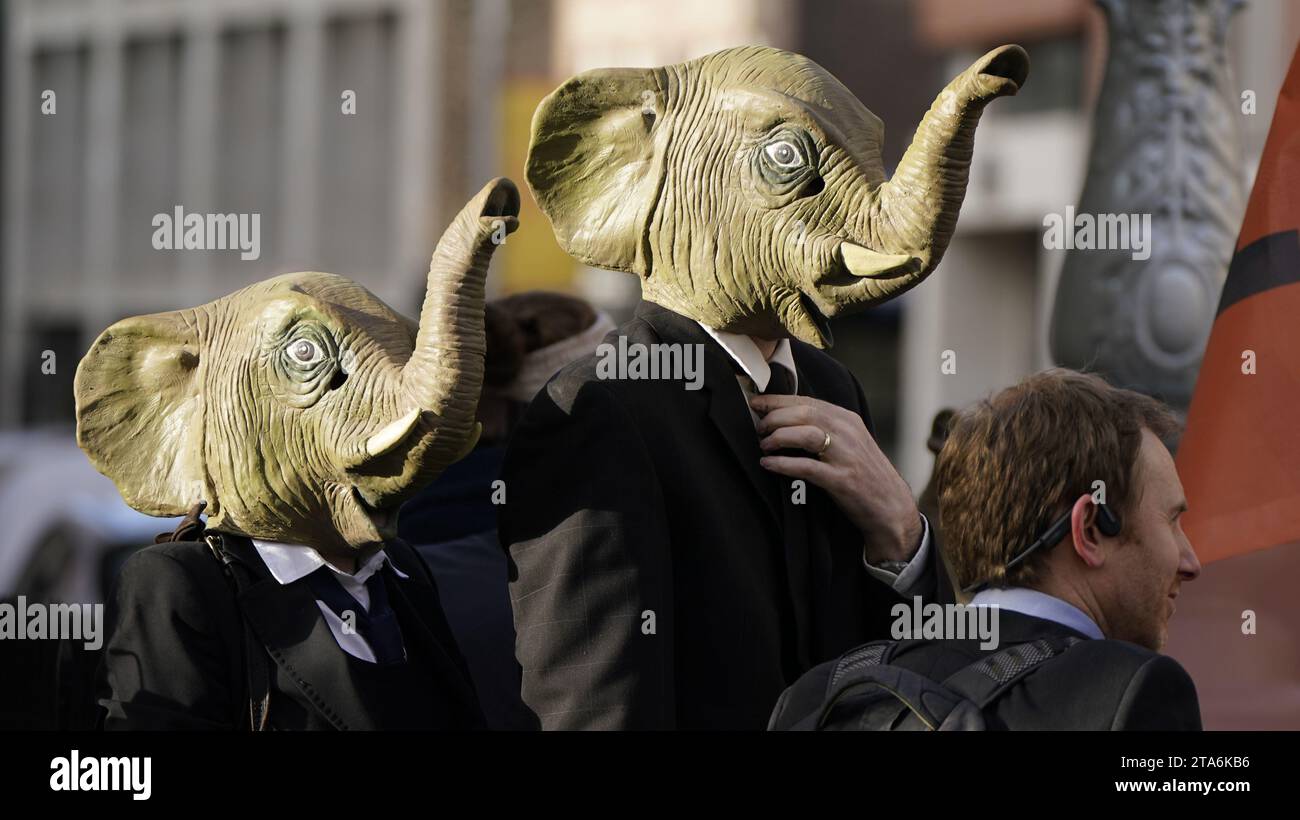 Fermare i membri del caos climatico, vestiti da CEO della Big Oil, con abiti da lavoro neri e con maschere di elefante fuori dalla Leinster House di Dublino per avvertire il governo irlandese che non deve lasciare che i combustibili fossili distruttivi dal clima siano l'elefante nella stanza dei colloqui sul clima della COP28 delle Nazioni Unite. Data foto: Mercoledì 29 novembre 2023. Foto Stock