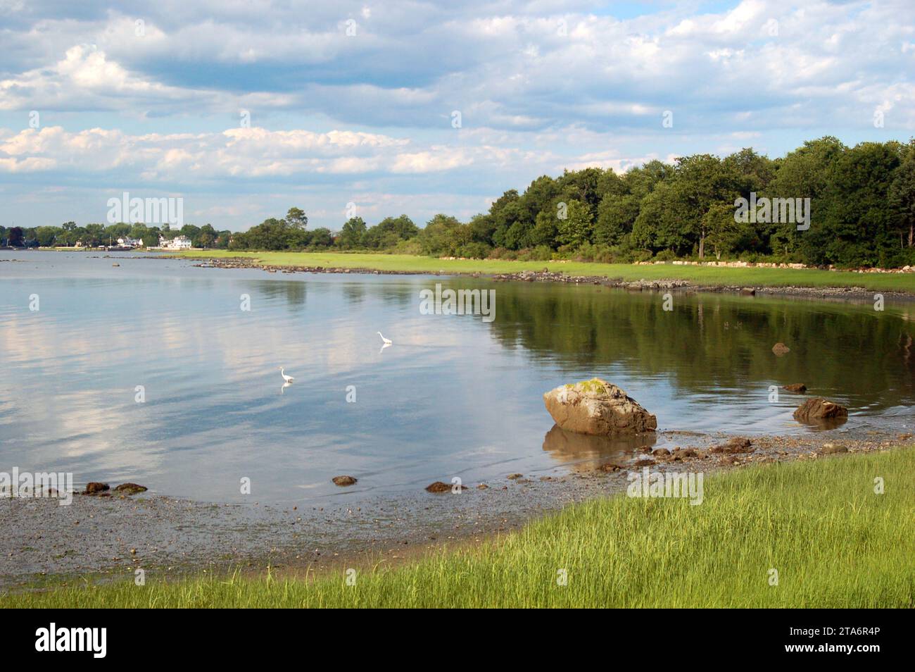 Un parco protegge le rocce e le paludi della riva Foto Stock