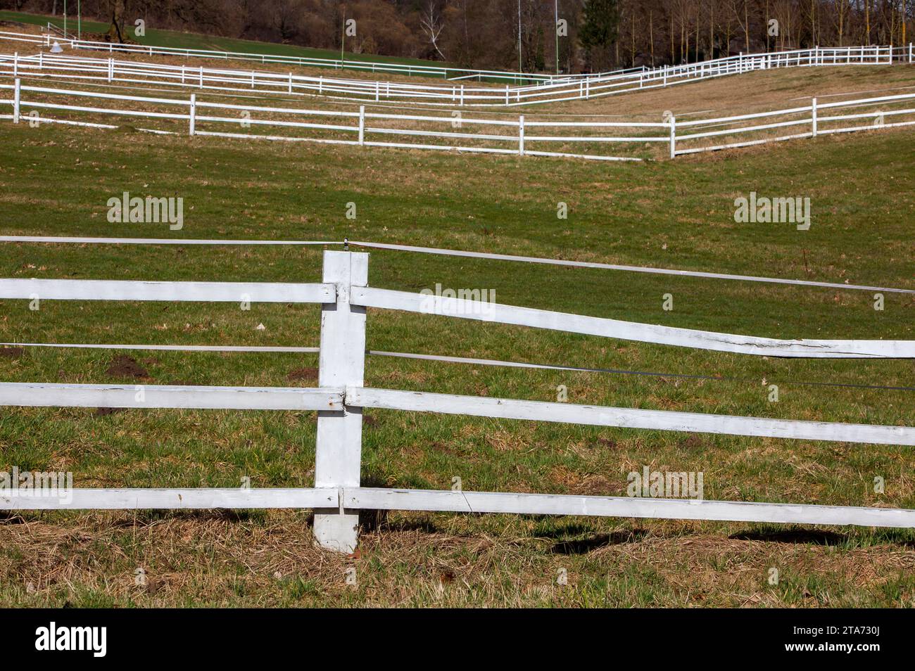 Scherma ippica, Adelebsen, distretto di Göttingen, bassa Sassonia, Germania Foto Stock