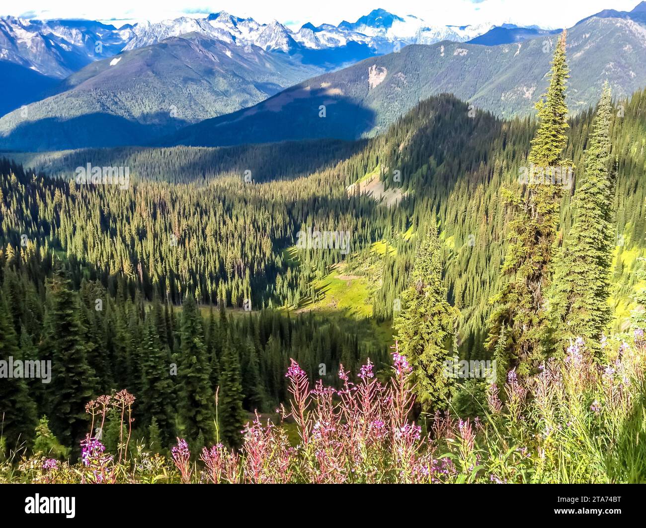 Paesaggio montano e vallate vicino a New Denver, Central Kootenay, British Columbia, Canada Foto Stock