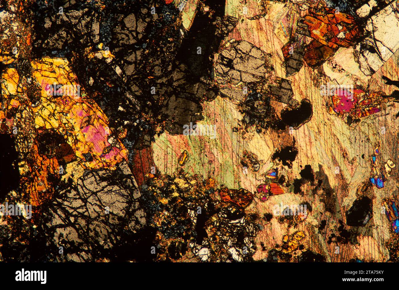 Anfibolite con granato. L'anfibolite è una roccia metamorfica ricca di anfibole. Fotomicrografo, sezione sottile, luce polarizzata. Foto Stock
