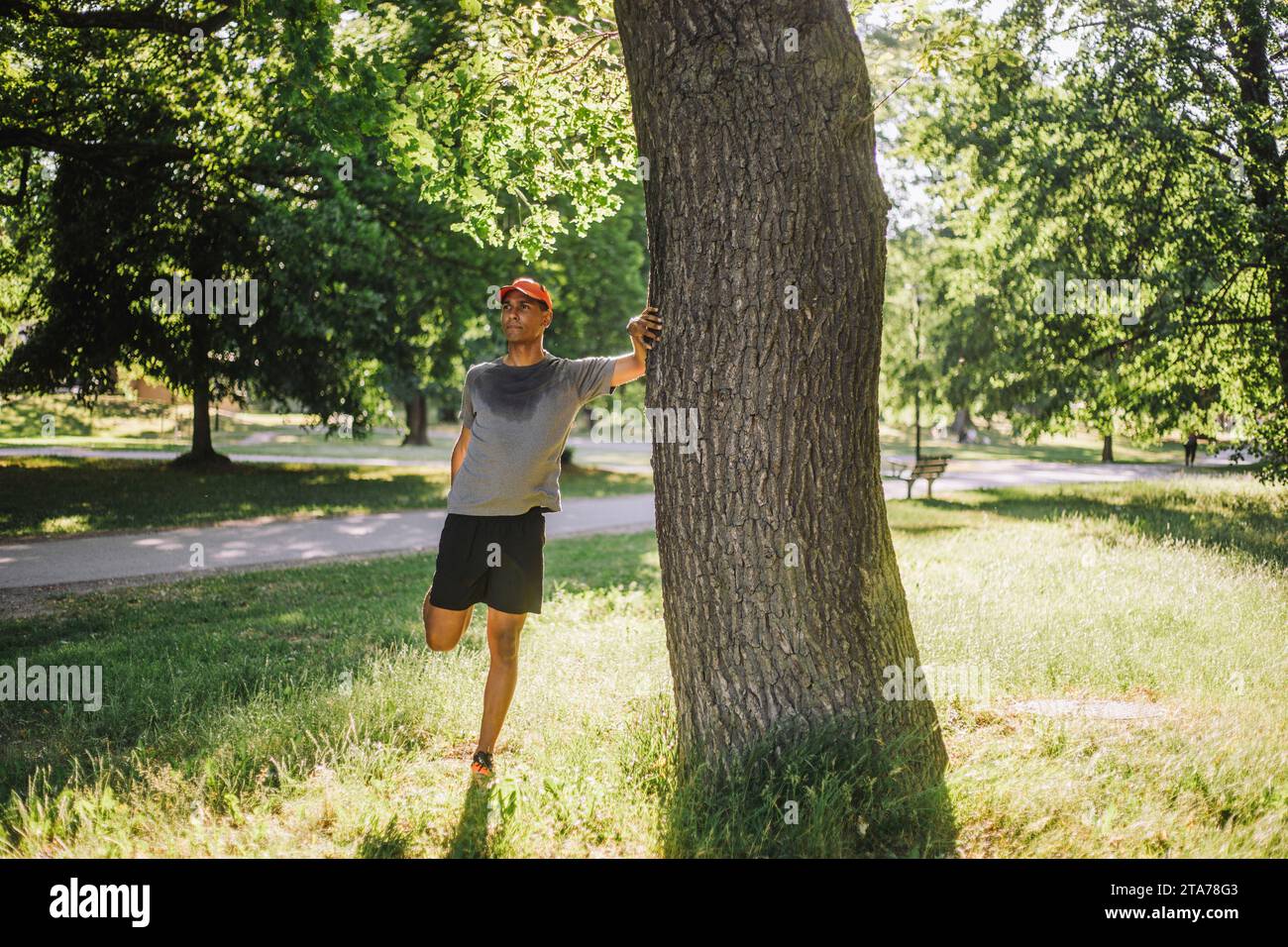 Uomo che fa stretching mentre si trova vicino agli alberi al parco nelle giornate di sole Foto Stock