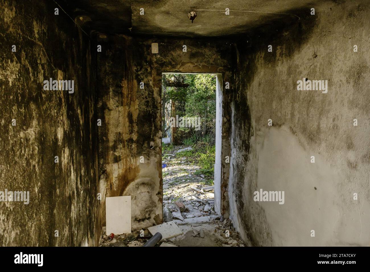 Interno di un edificio in rovina con pareti parzialmente distrutte piene di erbacce Foto Stock