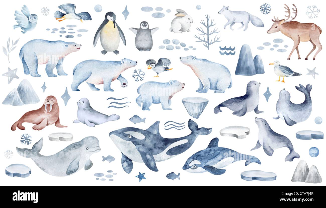 Animali del nord su uno sfondo isolato. Set di acquerelli e fauna selvatica. Orsi polari e pinguini con una balena subacquea. Foto Stock