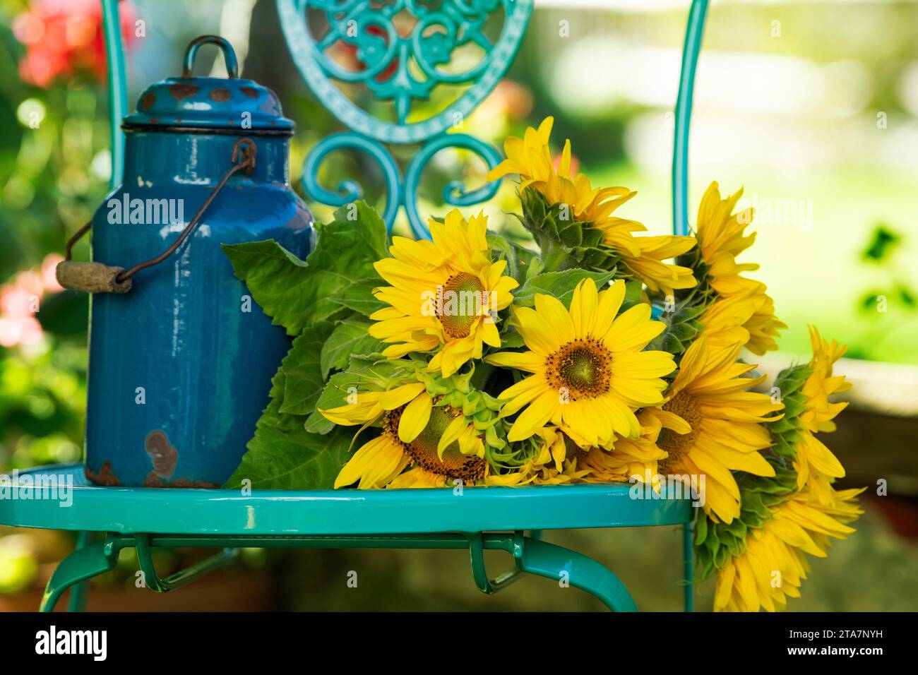 Bouquet di fiori autunnali su una sedia da giardino Foto Stock