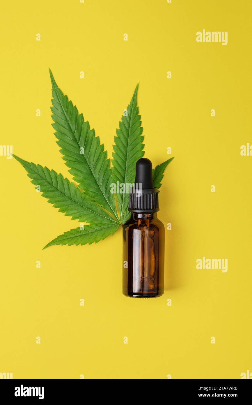 Olio di cannabis e foglia di canapa su sfondo giallo, giacenza piatta. Olio di canapa CBD in bottiglia. Siero viso di cannabis a base di erbe per la cura della pelle. Foto Stock