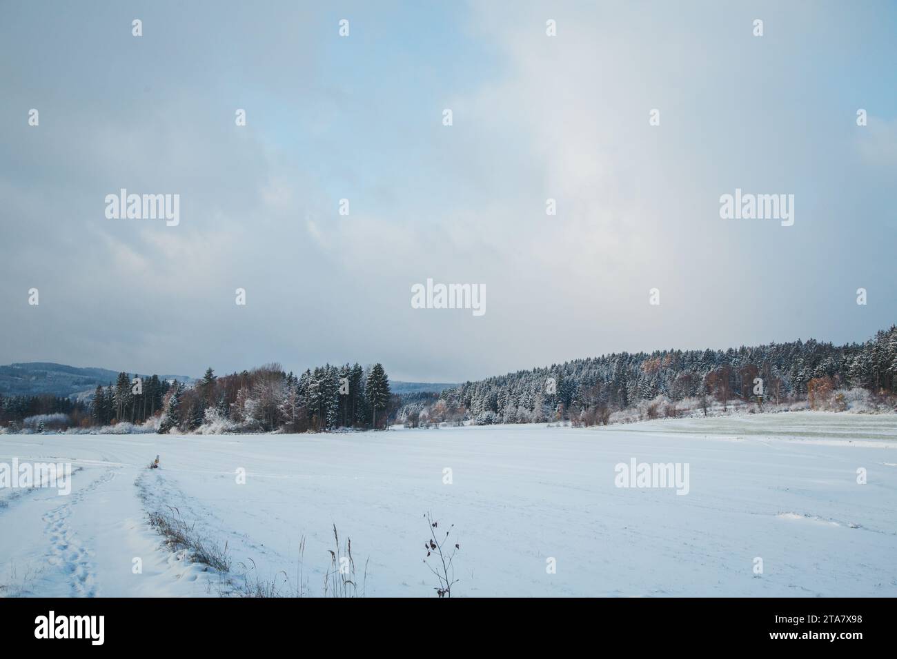 Inverno nel Waldviertel, Austria Foto Stock