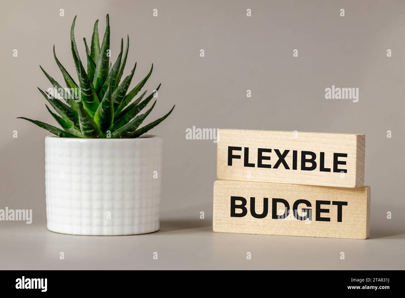 Parole di concetto budget flessibile su blocchi di legno. Splendido sfondo szare con piante succulente. Simbolo e concetto di budget flessibile. Copia spazio Foto Stock