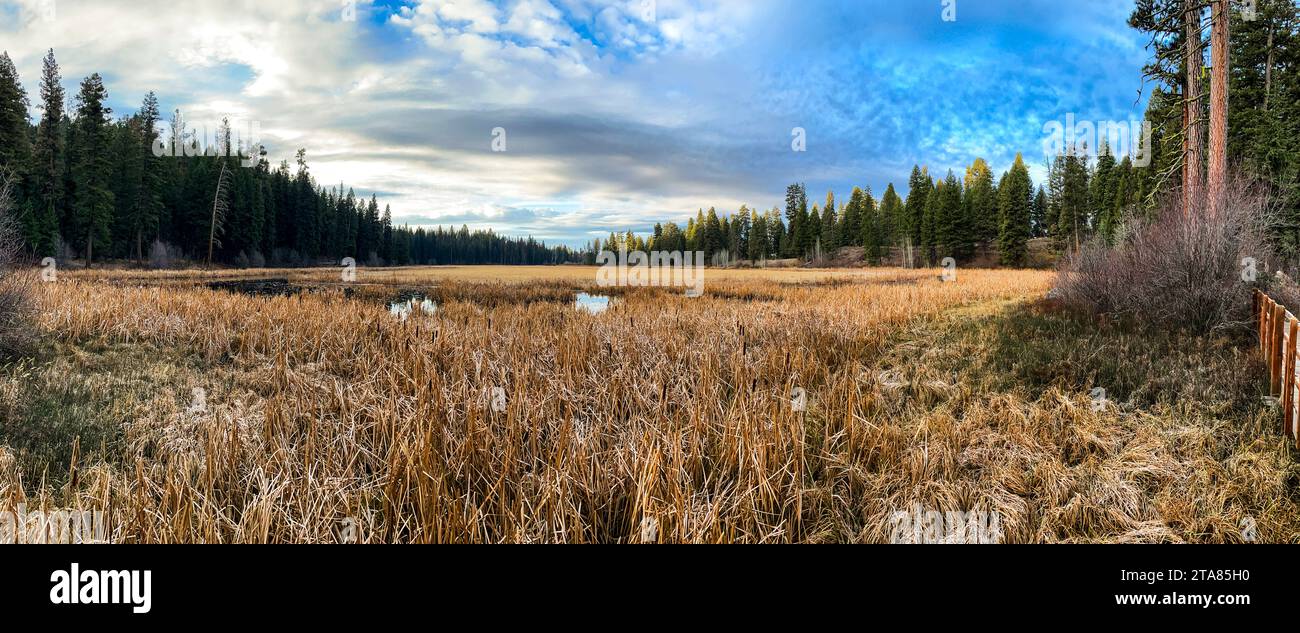 Alba di prima mattina nella zona umida di Lily Marsh nel Ponderosa State Park vicino a McCall, Idaho Foto Stock