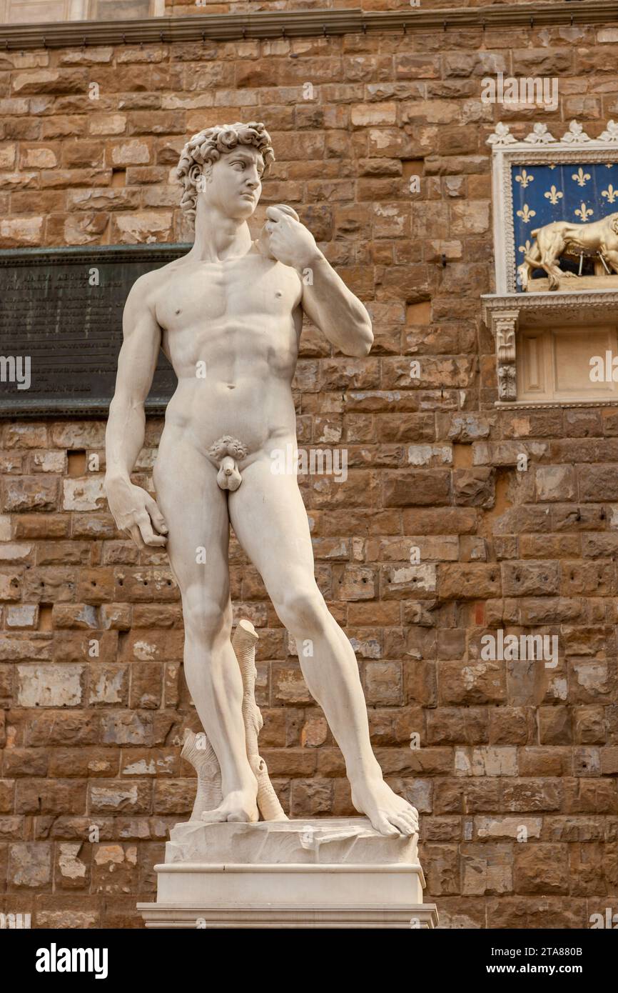 Primo piano della copia del David di Michelangelo in Piazza della Signora, Firenze, Italia. Foto Stock