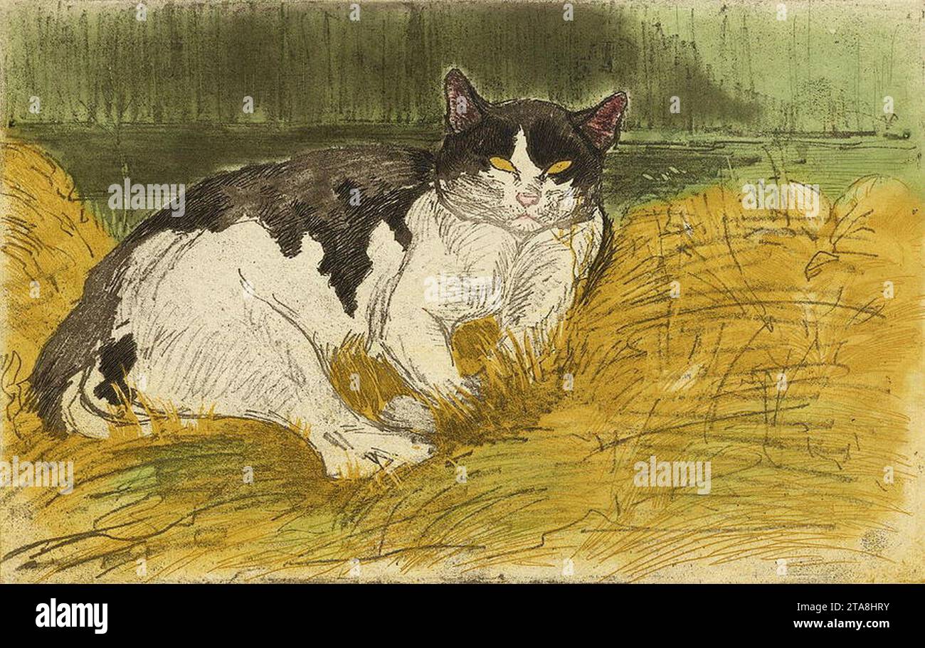 Vieux-chat-noir-et-blanc-dans-lherbe-theophile-alexandre-steinlen. Foto Stock