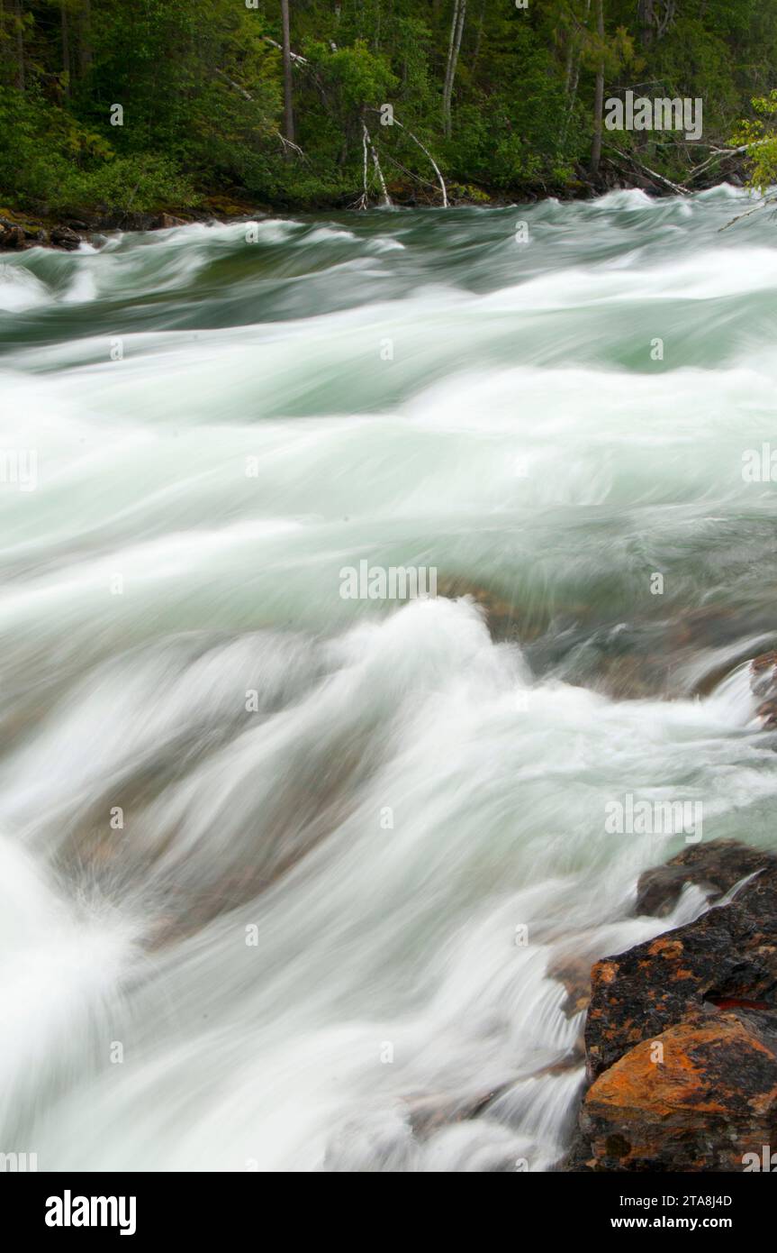 Il Baileys scivolo, Grey Parco Provinciale, British Columbia, Canada Foto Stock