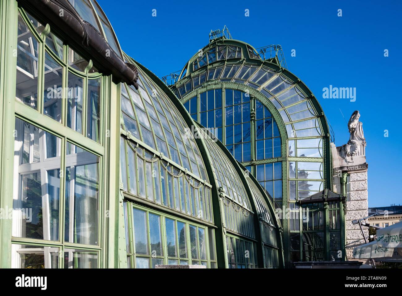 Vienna, Austria 29 settembre 2023 la Casa delle farfalle di Hofburg ospita molte specie esotiche di piante e insetti Foto Stock