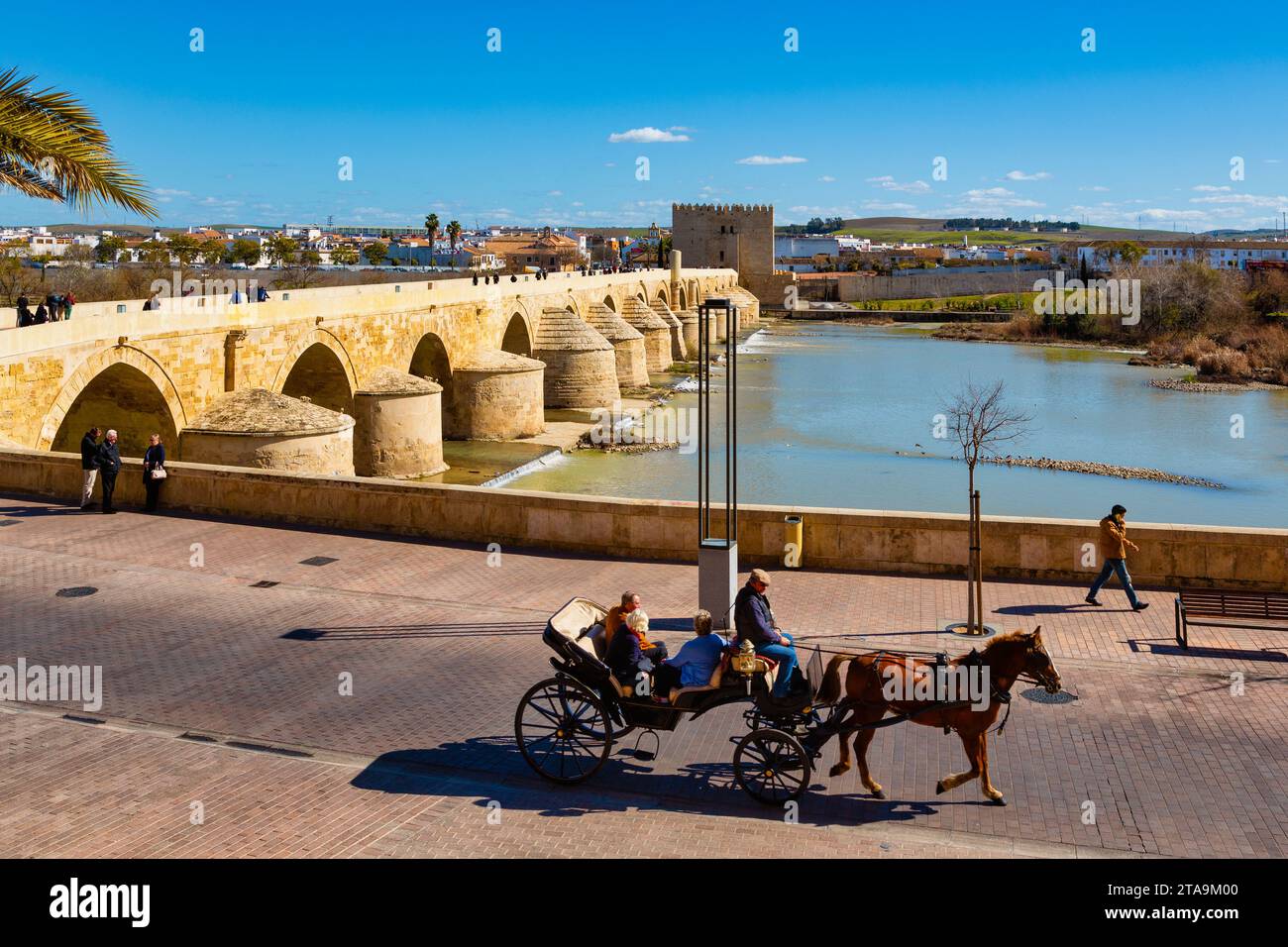 Ponte romano, Cordoba, Andalusia, Spagna Foto Stock