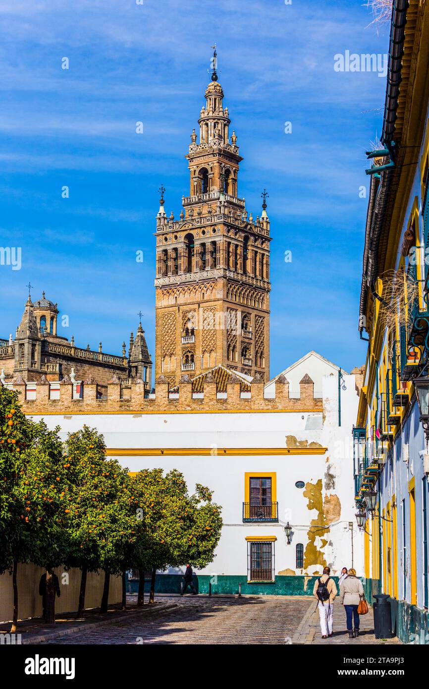 Torre Giralda di Siviglia, in Andalusia, Spagna Foto Stock