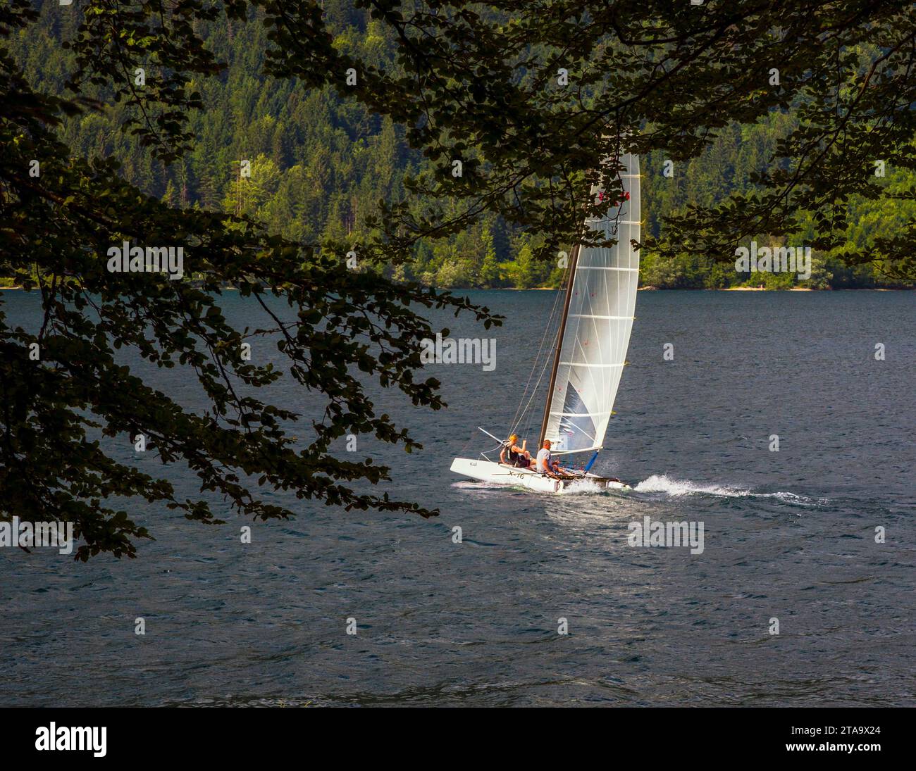 Persona in catamarano sul lago di Bohinj, Parco Nazionale del Triglav, alta Carniola, Slovenia Foto Stock