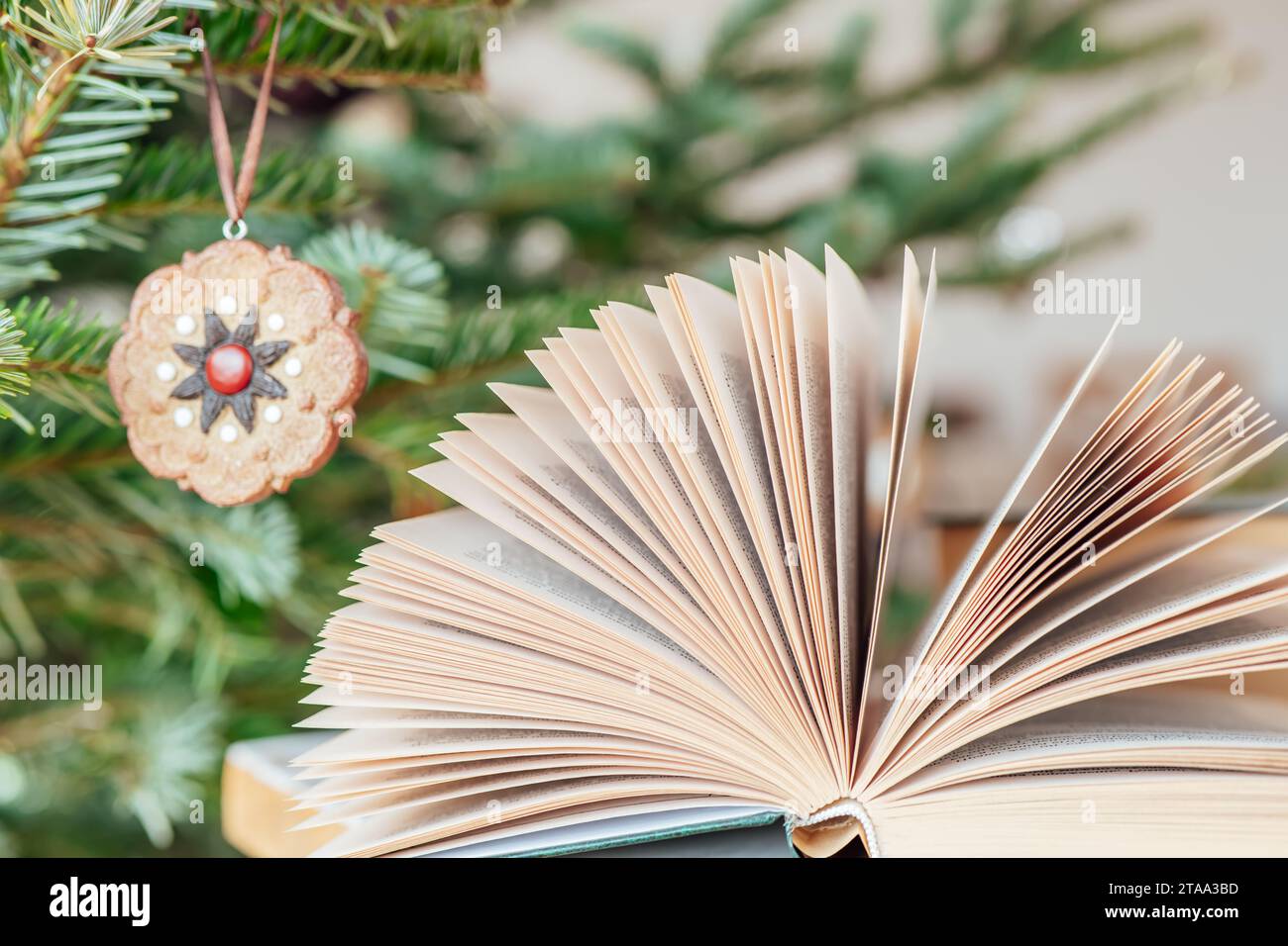Libri di Natale. Lettura invernale accogliente. Libri delle vacanze per Capodanno. Aprire il libro sullo sfondo dell'albero di Natale. Libri su temi natalizi e invernali. Foto Stock