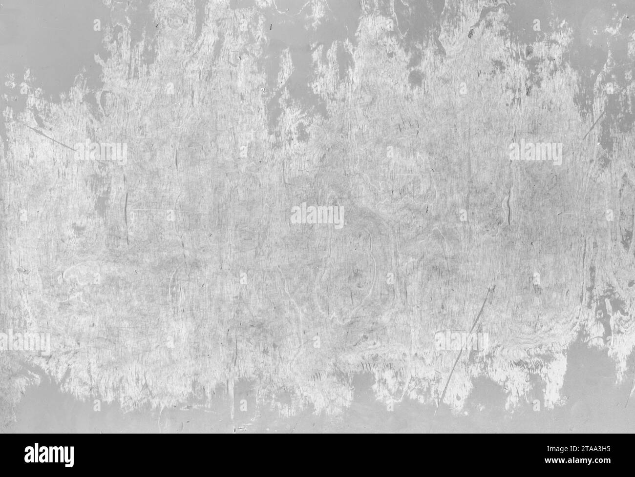 Vernice di pelatura macchie superficie del pavimento in legno grigio usurato struttura dello sfondo resistente alle intemperie osb grigio legno shabby. Foto Stock