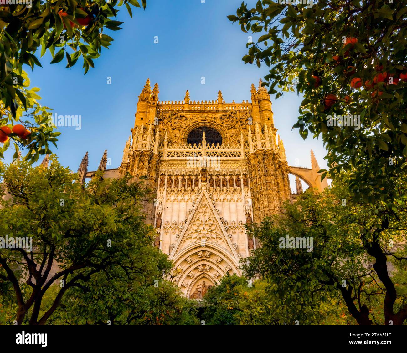 Vista di una cattedrale di Siviglia, Andalusia, Spagna Foto Stock