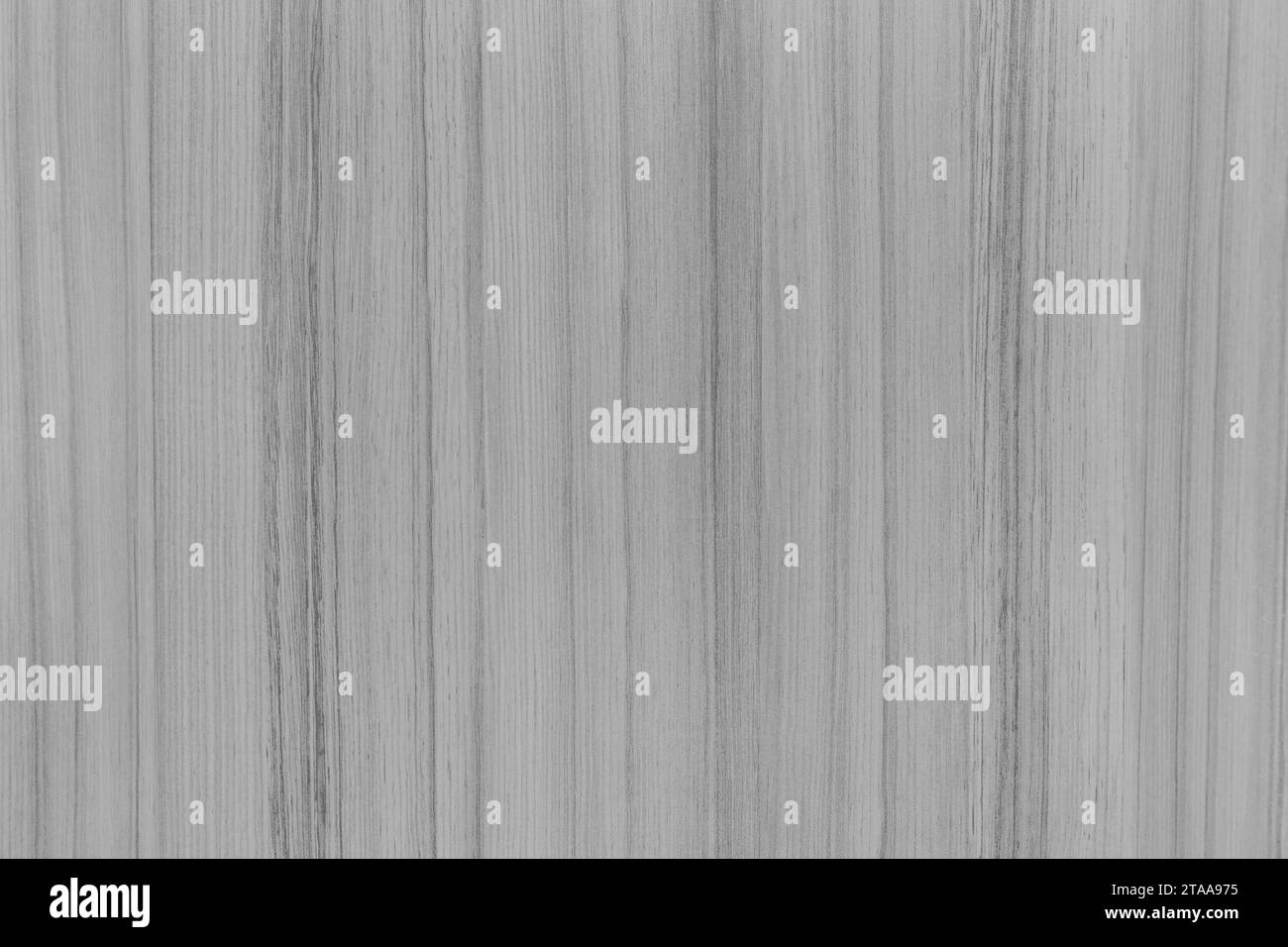 Texture in legno di colore grigio chiaro linee di motivo astratte strisce struttura del tavolo sfondo del pavimento. Foto Stock