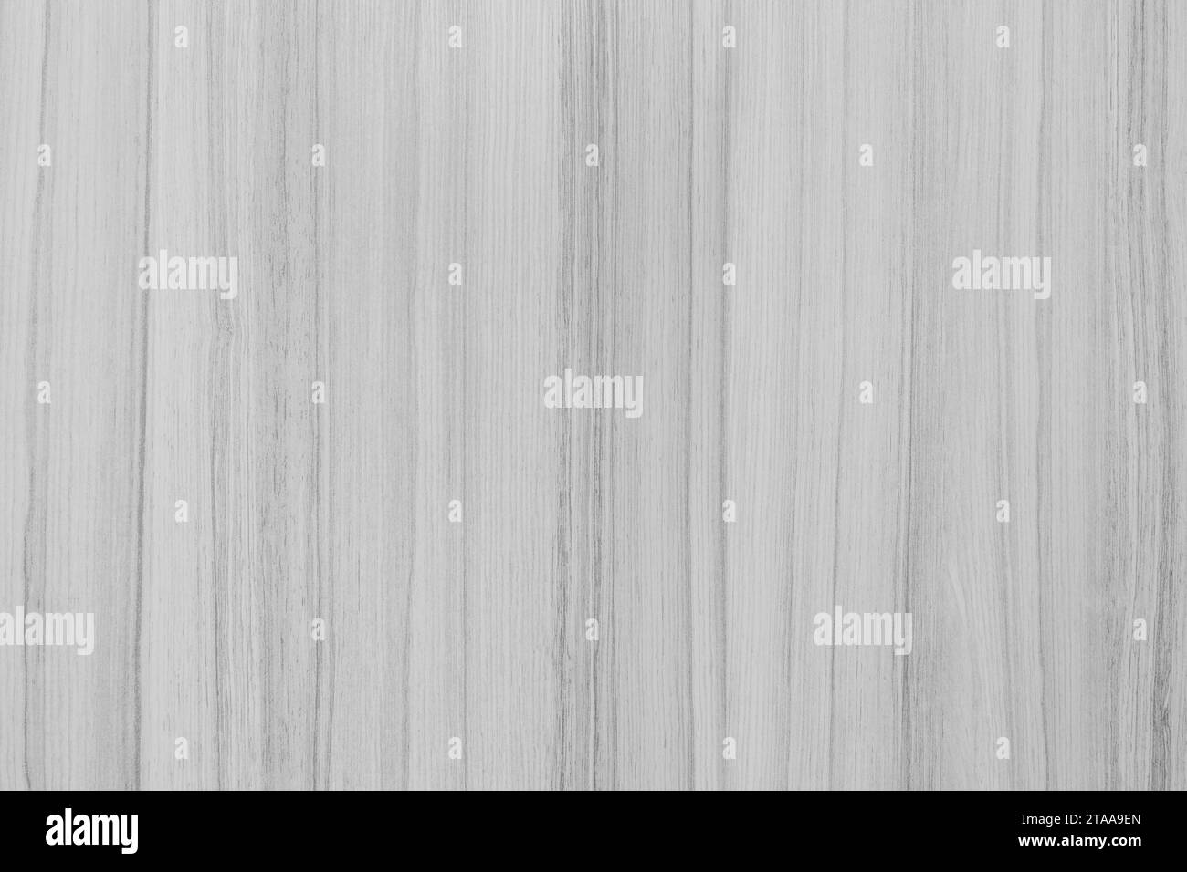 Struttura in legno grigio chiaro linee di motivo astratte strisce struttura del tavolo sfondo del pavimento grigio. Foto Stock