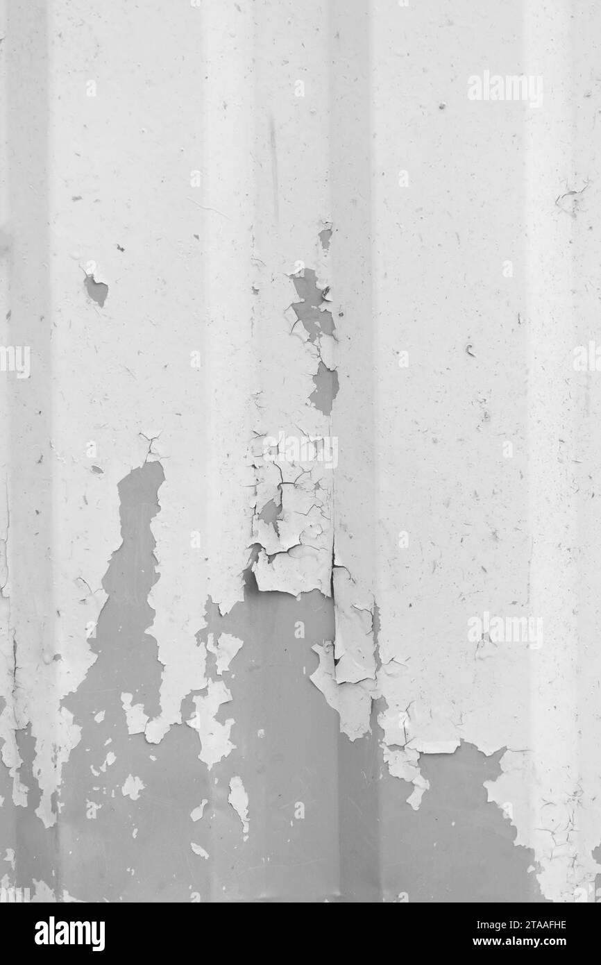 Peeling grigio vecchia vernice superficie metallica trama fence sfondo scaglie grigie bianche. Foto Stock