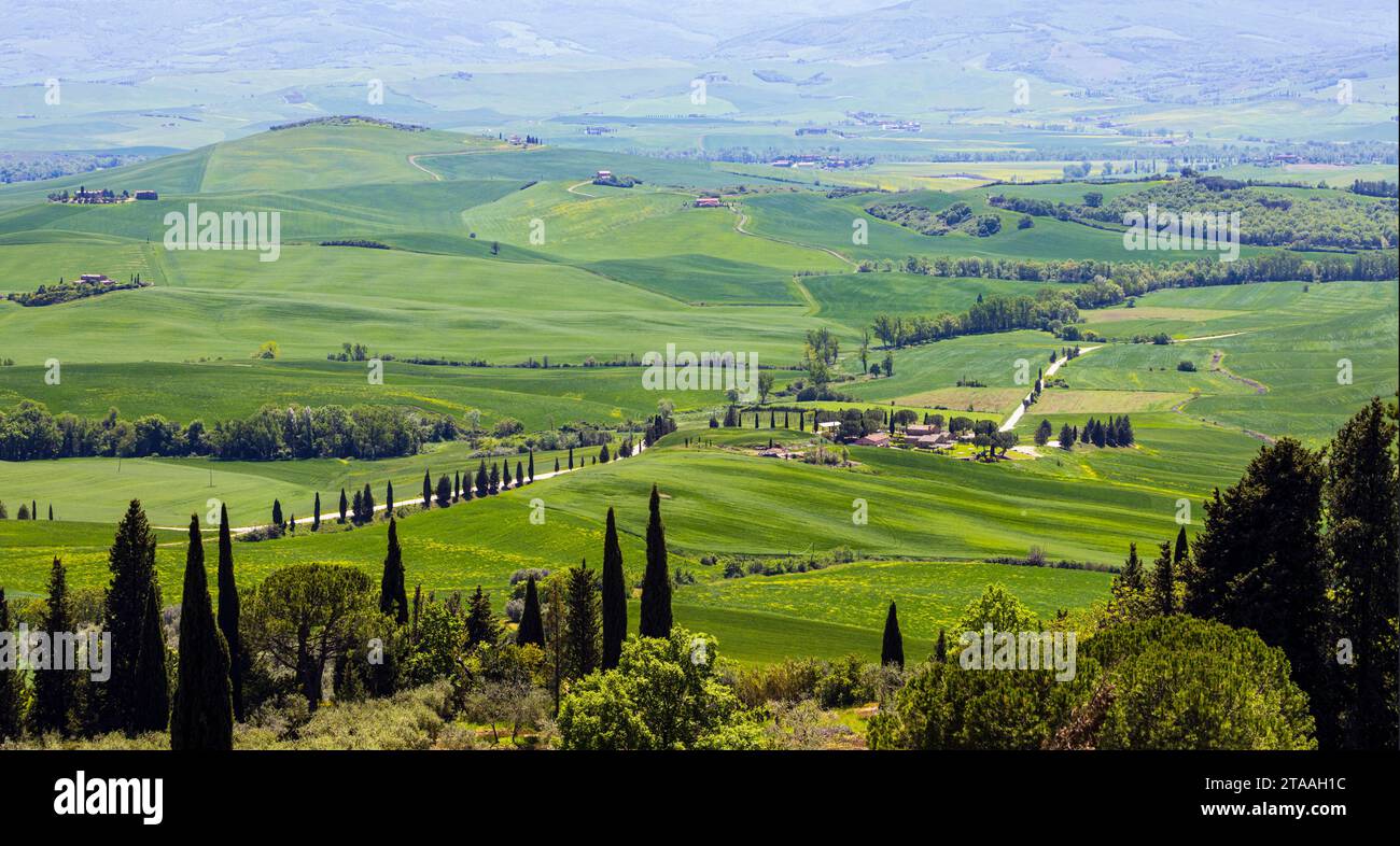 Vista sulla valle, la Toscana, l'Italia Foto Stock