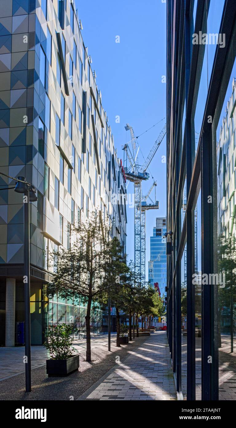 Due gru a torre in un cantiere visto tra gli edifici in Jack Rosenthal Street, First Street District, Manchester, Inghilterra, Regno Unito Foto Stock