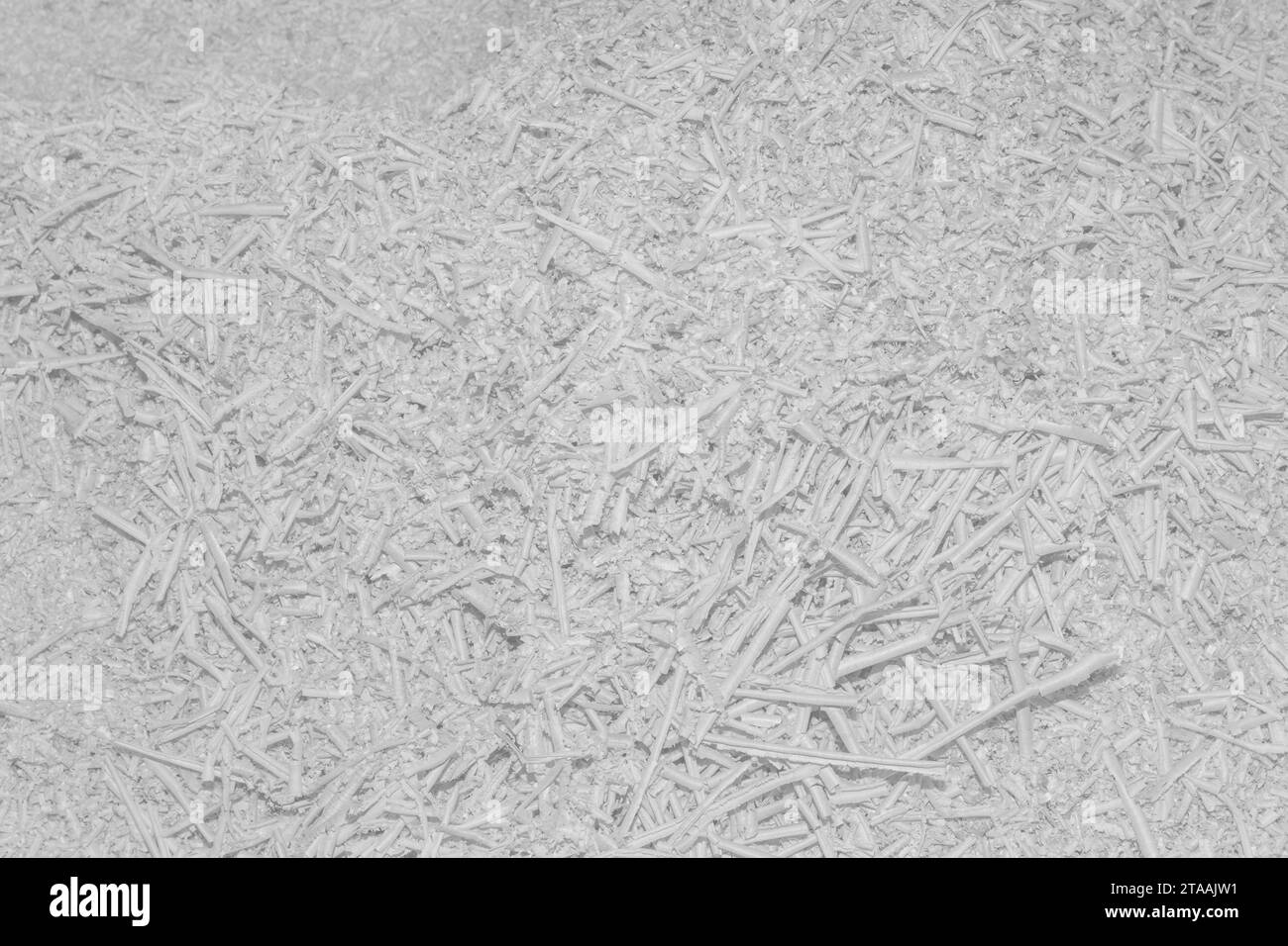 Trucioli di legno naturale bianco riciclaggio dei rifiuti riciclaggio industriale riciclaggio industriale delle polveri di scopa. Foto Stock