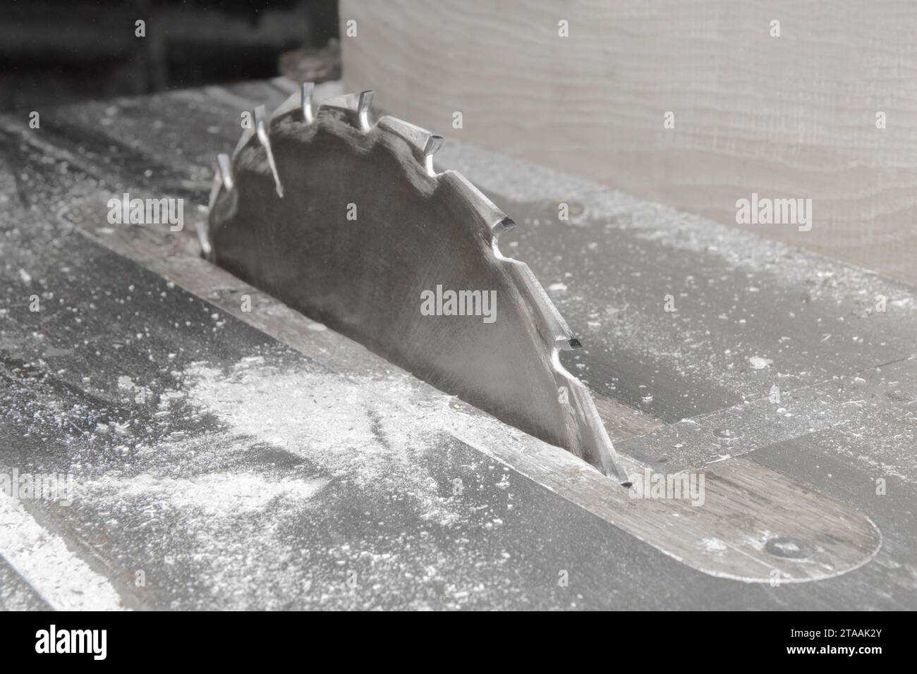 Sega circolare punte affilate macchina con lama diamantata utensile per segare attrezzature industriali. Foto Stock