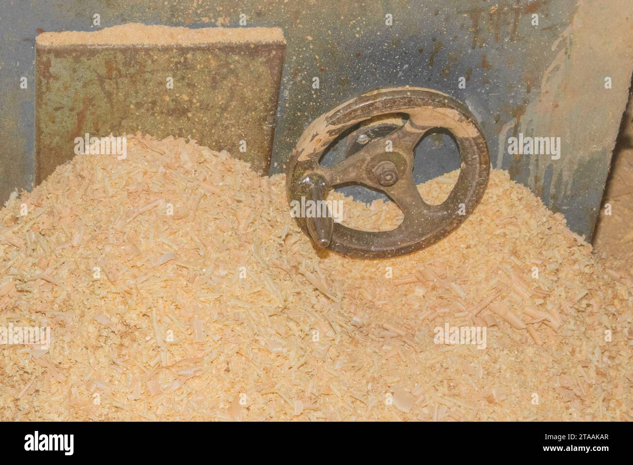 Riciclaggio dei rifiuti di Sawdust in legno industria delle macchine utensili per impianti industriali in legno. Foto Stock