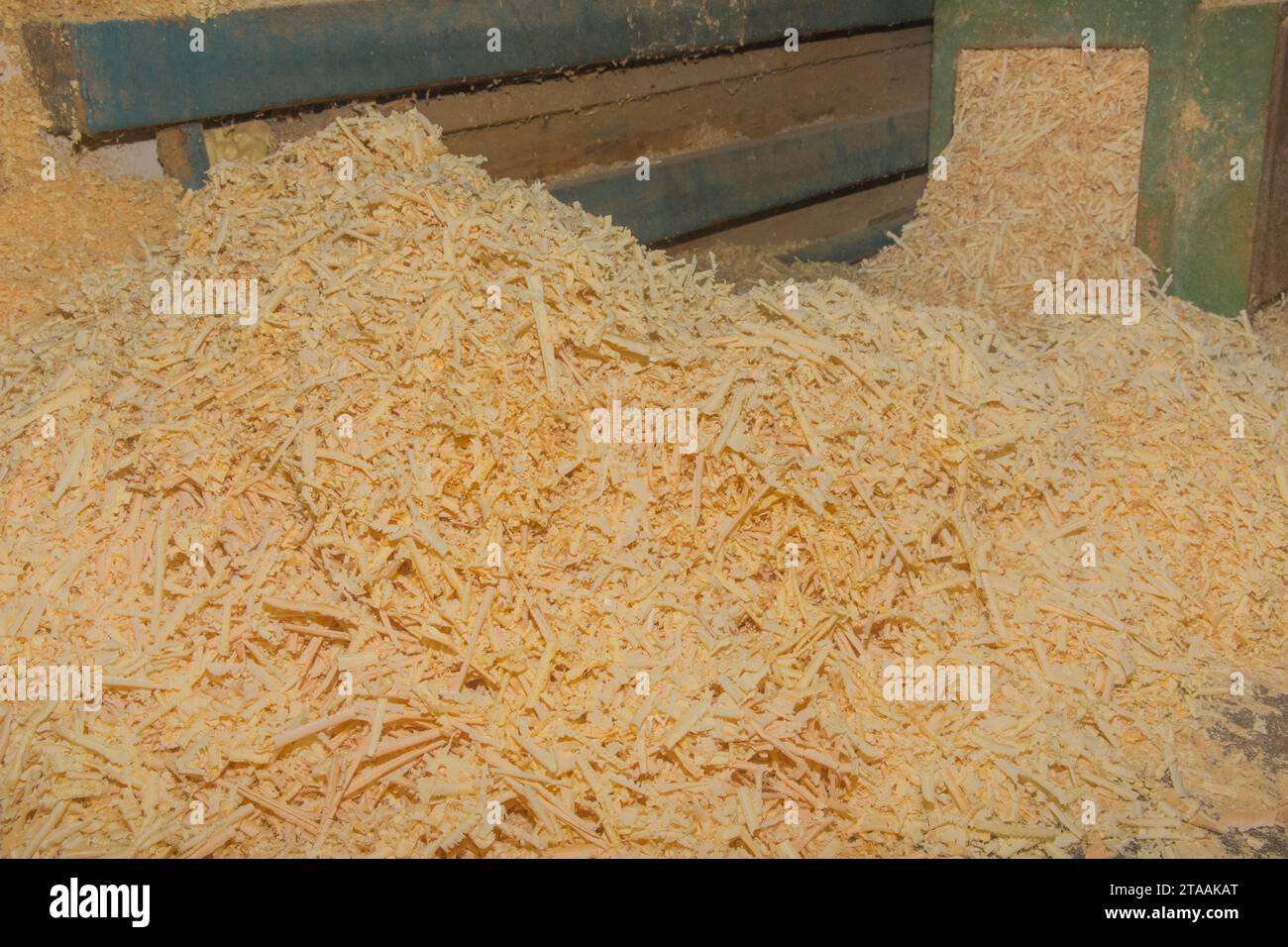 Riciclaggio dei rifiuti di Sawdust in legno riciclaggio dell'industria delle macchine utensili per impianti industriali in legno. Foto Stock