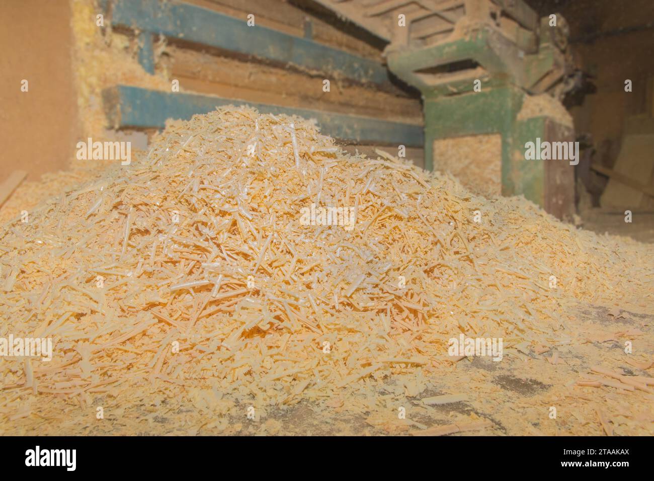 Riciclaggio dei rifiuti di Sawdust legno impianto industriale di legno riciclaggio dell'industria delle macchine utensili. Foto Stock