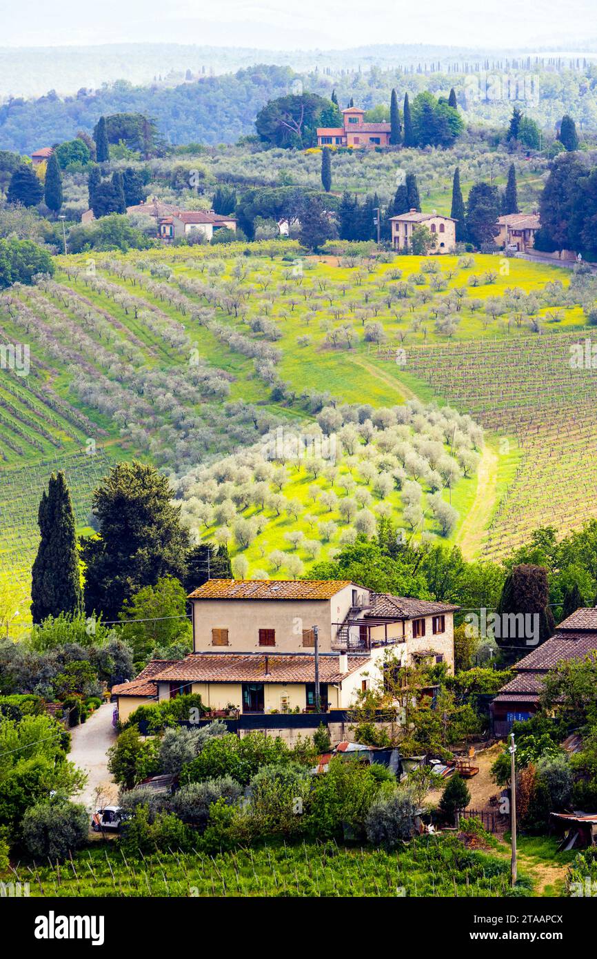 Vista sulla campagna, San Gimignano, Toscana, Italia Foto Stock