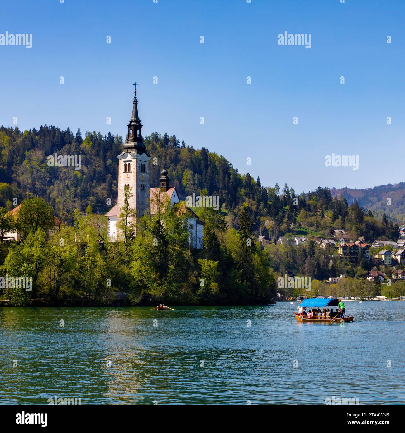 Chiesa dell'assunzione, Bled, alta Carniola, Slovenia Foto Stock
