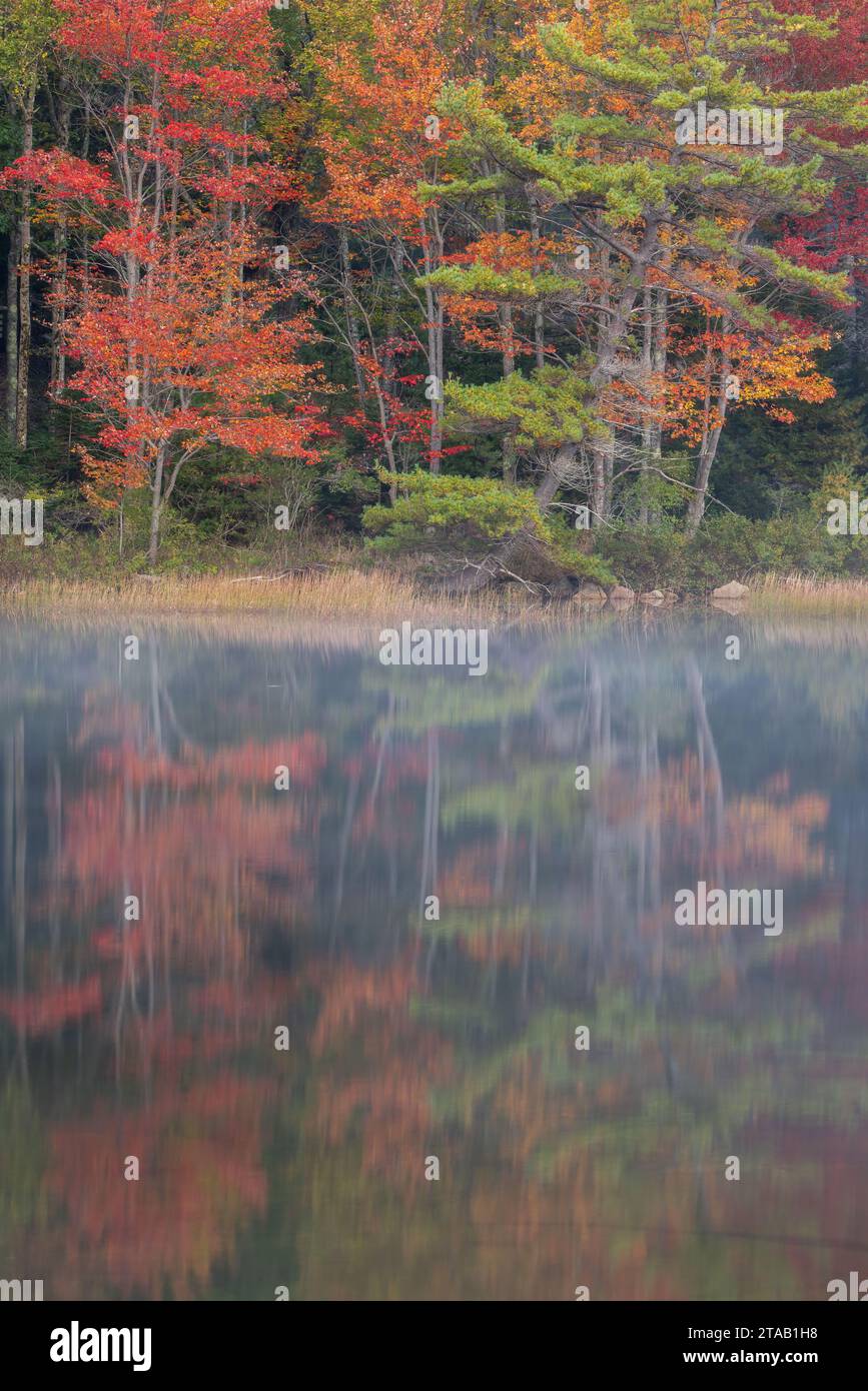 In autunno la riflessione, Eagle Lake, il Parco Nazionale di Acadia, Maine Foto Stock