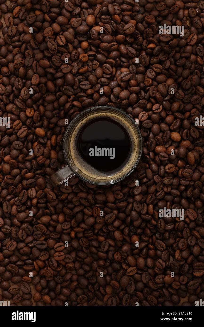 Vista dall'alto della tazza di caffè espresso in vetro visualizzata su sfondo marrone tostato in grani di caffè. Scena minima per la pubblicità. Caffeina attiva nel caffè Foto Stock