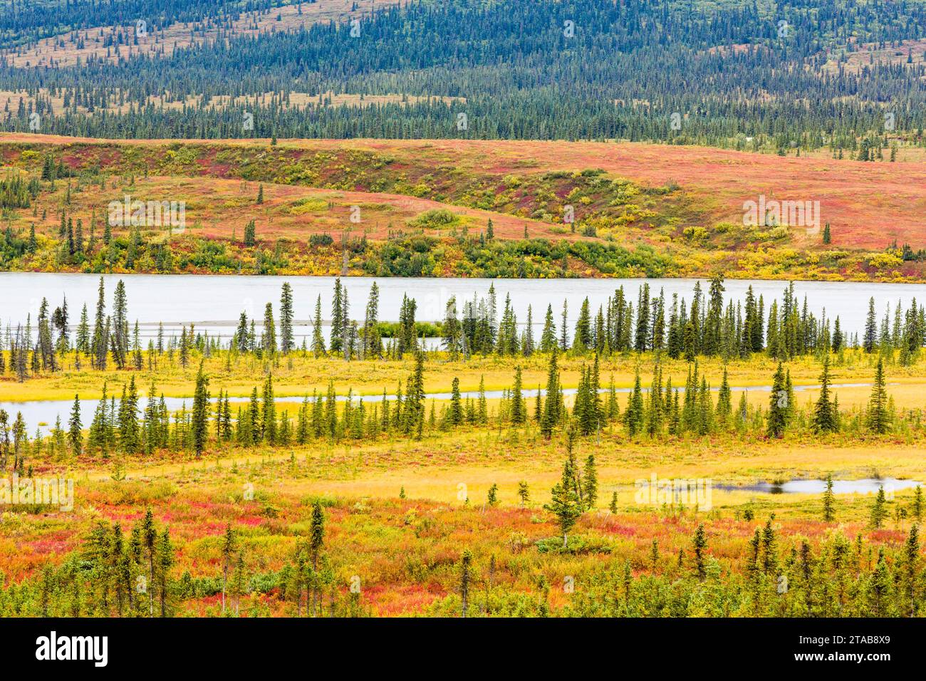 Susitna River Valley in autunno, Alaska Foto Stock