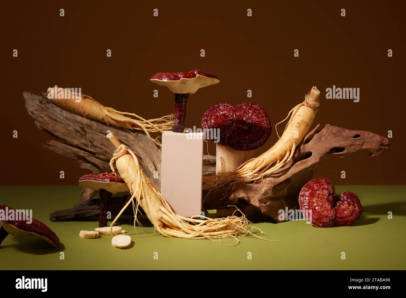 Sfondo astratto per il branding e presentazione minima del prodotto con ingredienti vegetali. Funghi Ganoderma e radici di ginseng decorati su marrone e. Foto Stock