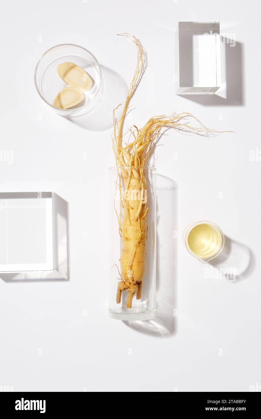Scena minima per pubblicità e branding di prodotti con ingredienti vegetali coreani. Un fresco ginseng su vaso di vetro decorato con alcuni podi di vetro Foto Stock