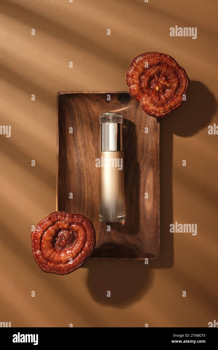 Scena minimalista per pubblicizzare cosmetici di estratto di funghi lingzhi. Su un piatto di legno, una bottiglia senza etichetta esposta con due funghi lingzhi su b Foto Stock